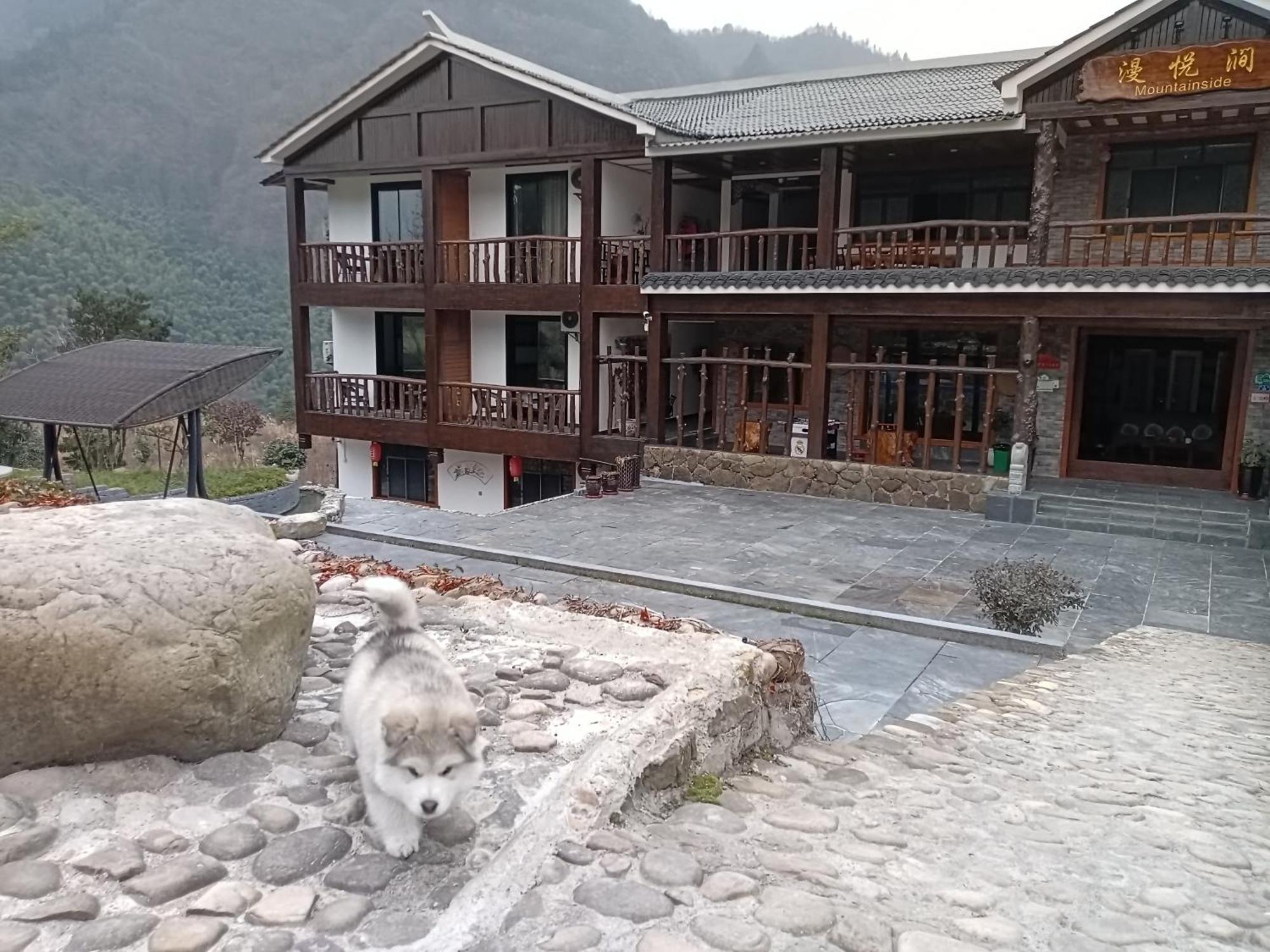 Zhangjiajie Mountainside Ngoại thất bức ảnh