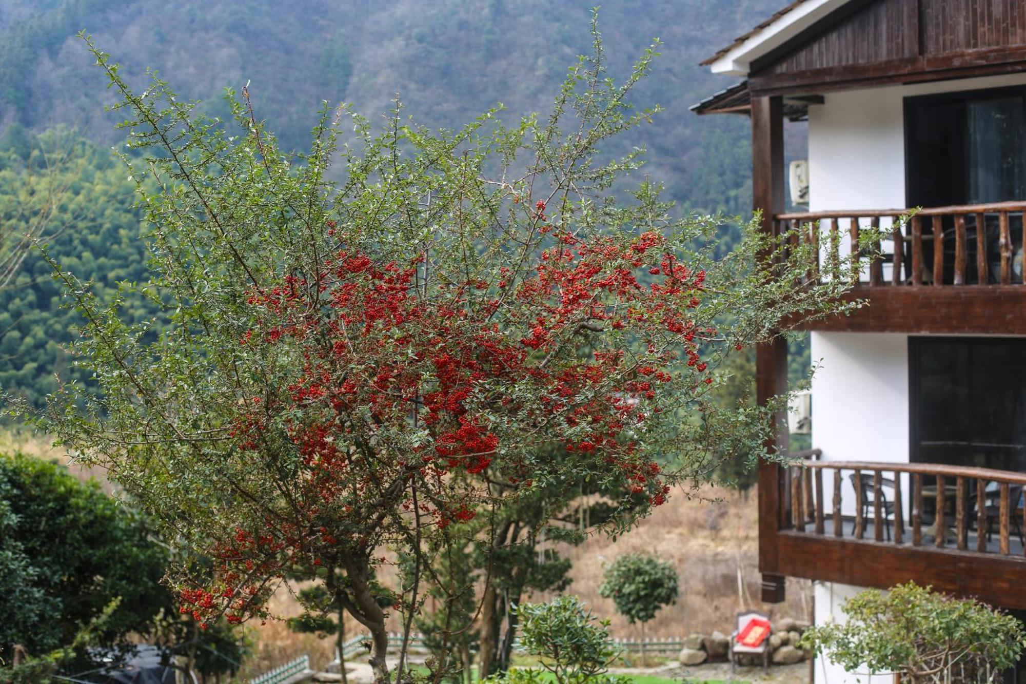 Zhangjiajie Mountainside Ngoại thất bức ảnh